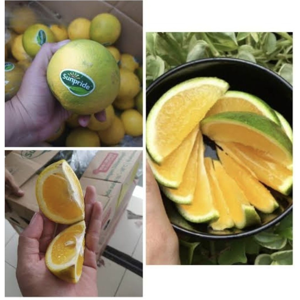 

jeruk baby sunpride premium