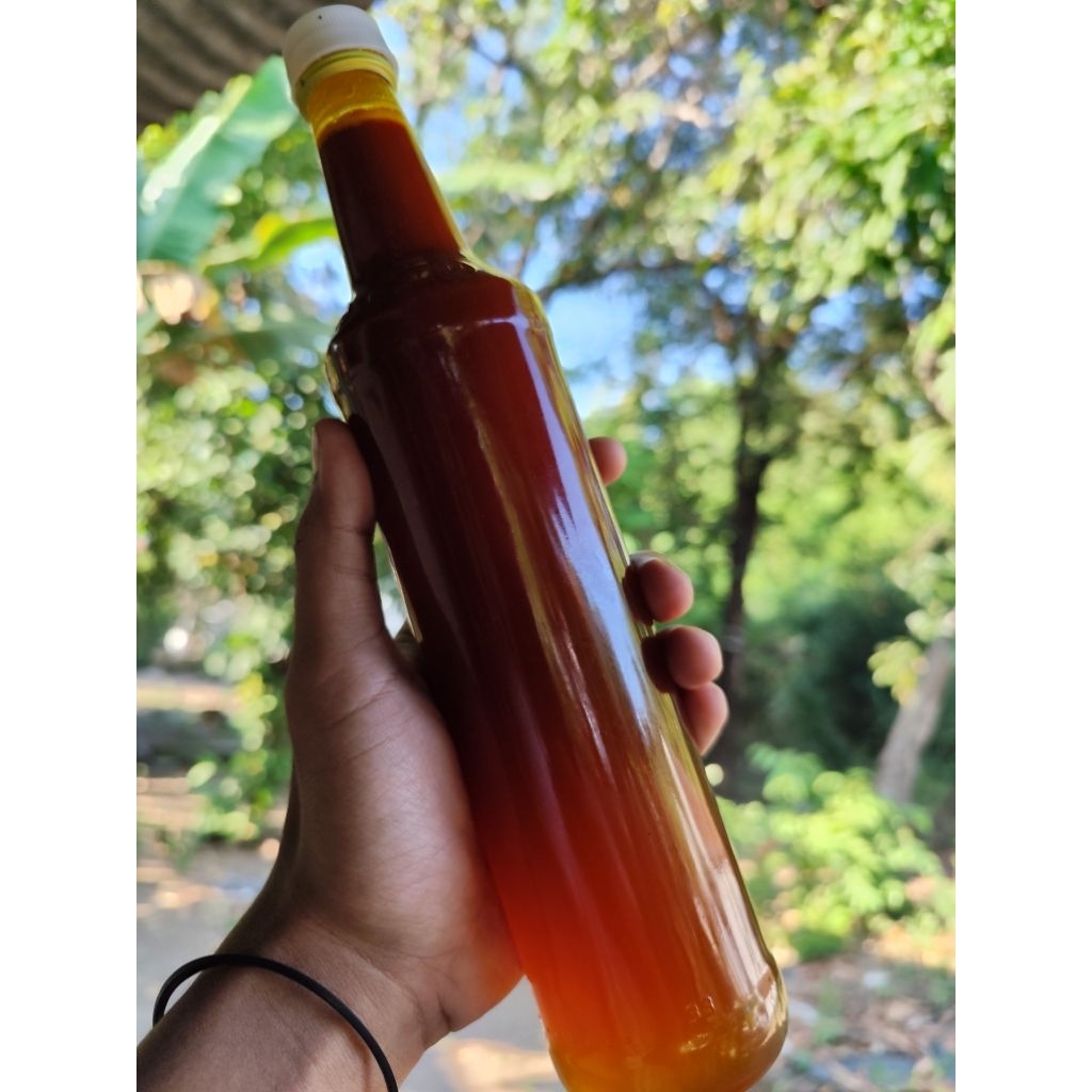 

Madu liar Apiscerana (Nektar randu) murni dan alami 100% (460ml)