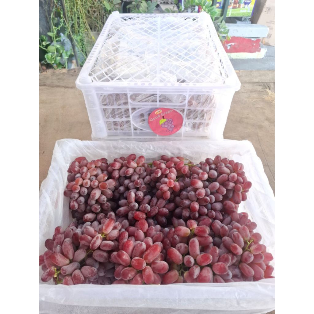 

Anggur Crimson Manis Tanpa Biji / Buah Buahan Segar On Mallahrizwa