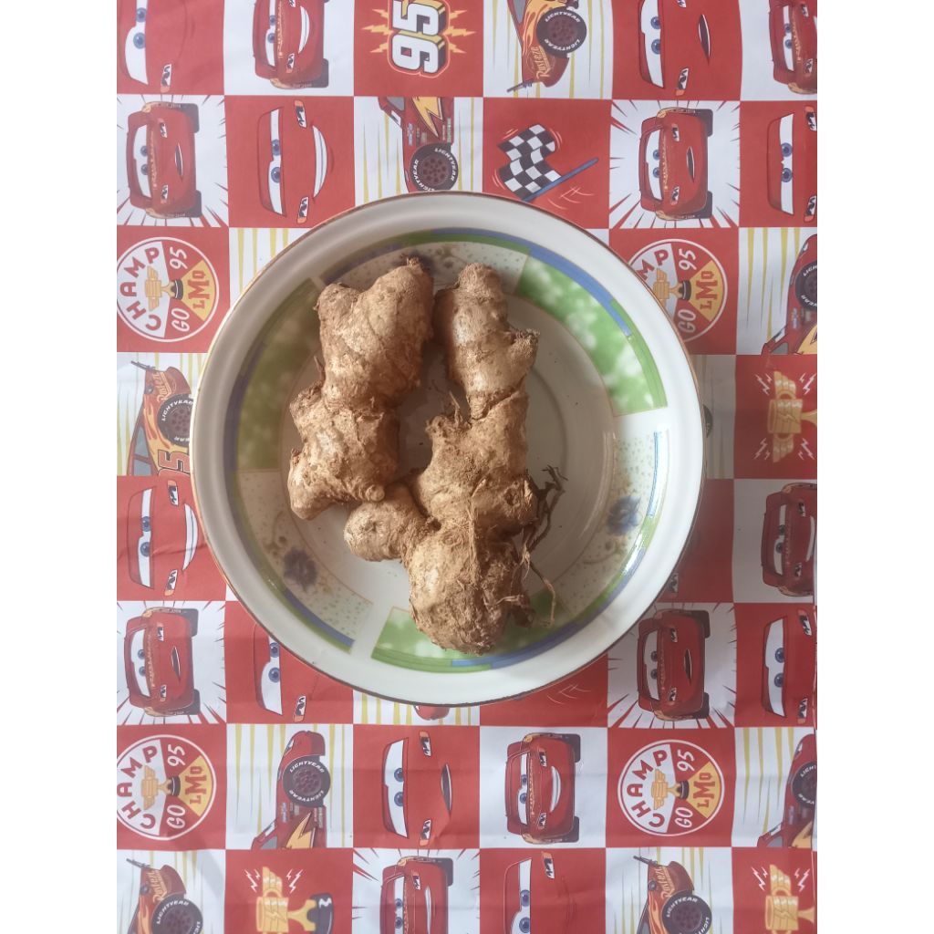 

Jahe Kencur Lengkuas Laos Kunir Kunyit Segar Fresh - Aneka Rempah Empon Bumbu Jamu