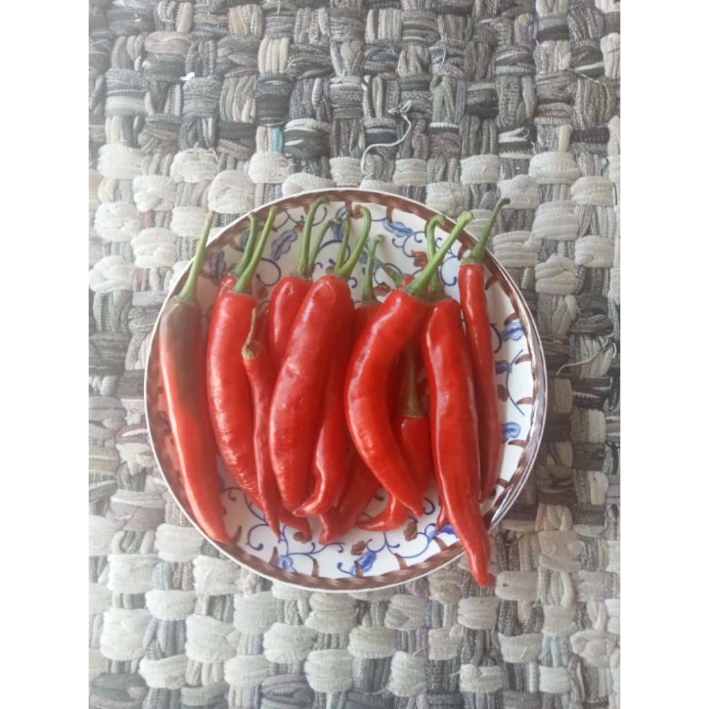 

Cabe Merah Besar Cabai TW Lombok Segar Fresh Kiloan 100gr - Aneka Bumbu Dapur