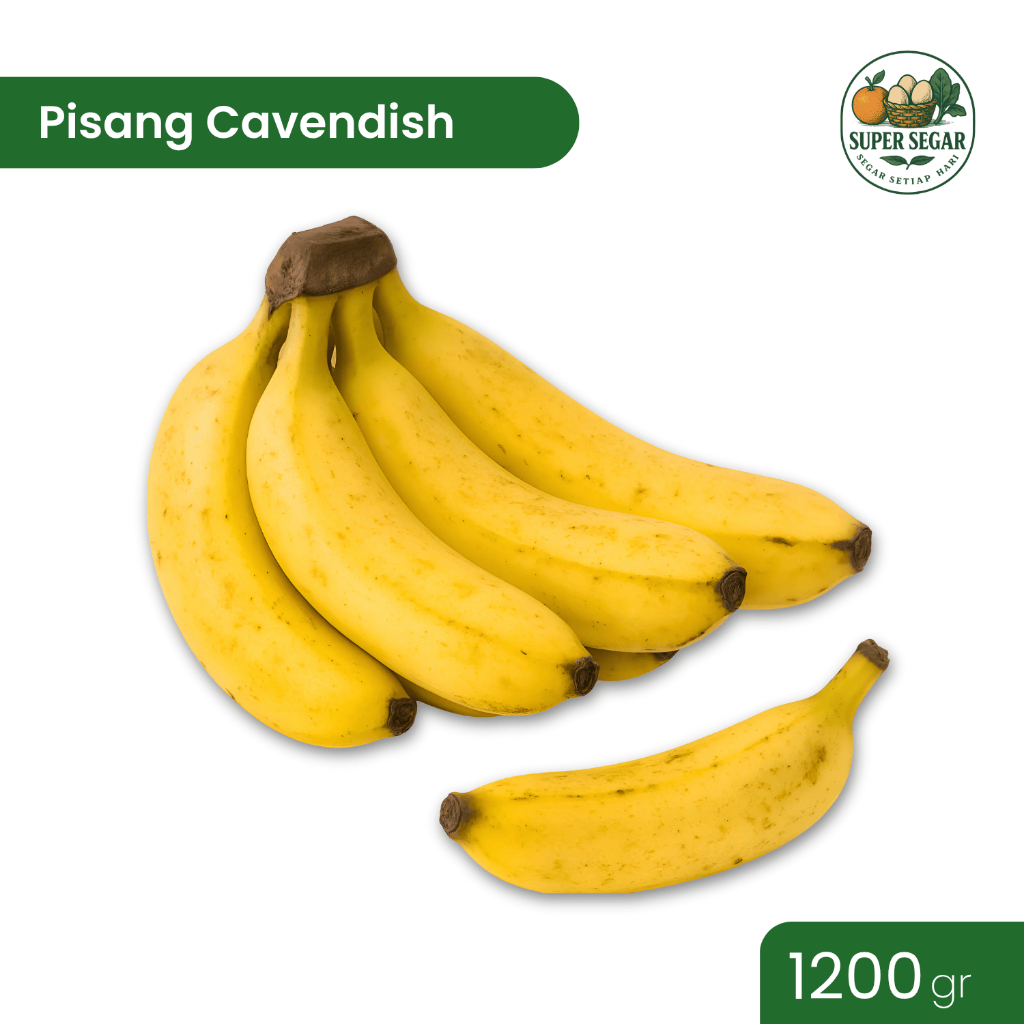 

Pisang Cavendish 1 sisir (1200-1400gram)