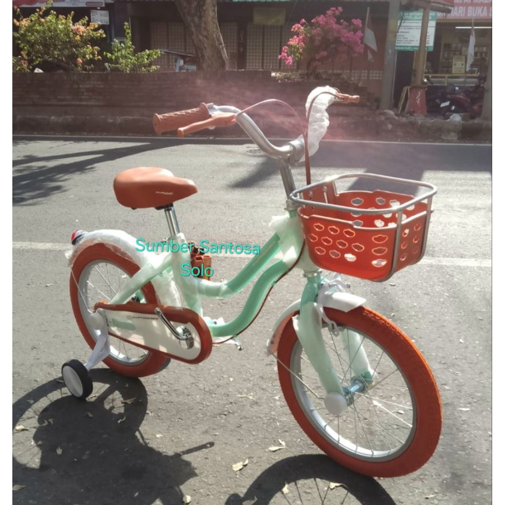 SEPEDA ANAK MINI PHOENIX 16 INCH NEW CLASSIC