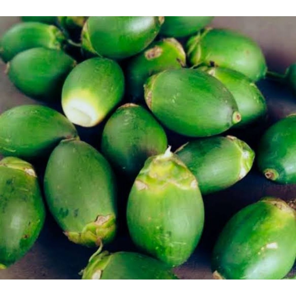 

1 kg pinang muda segar fresh petik langsung murah-az