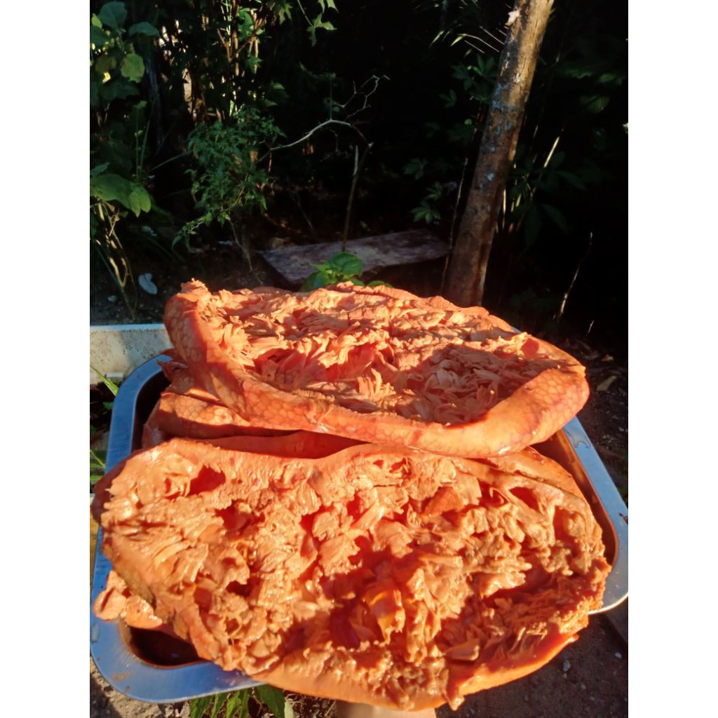 

mandai kulit cempedak