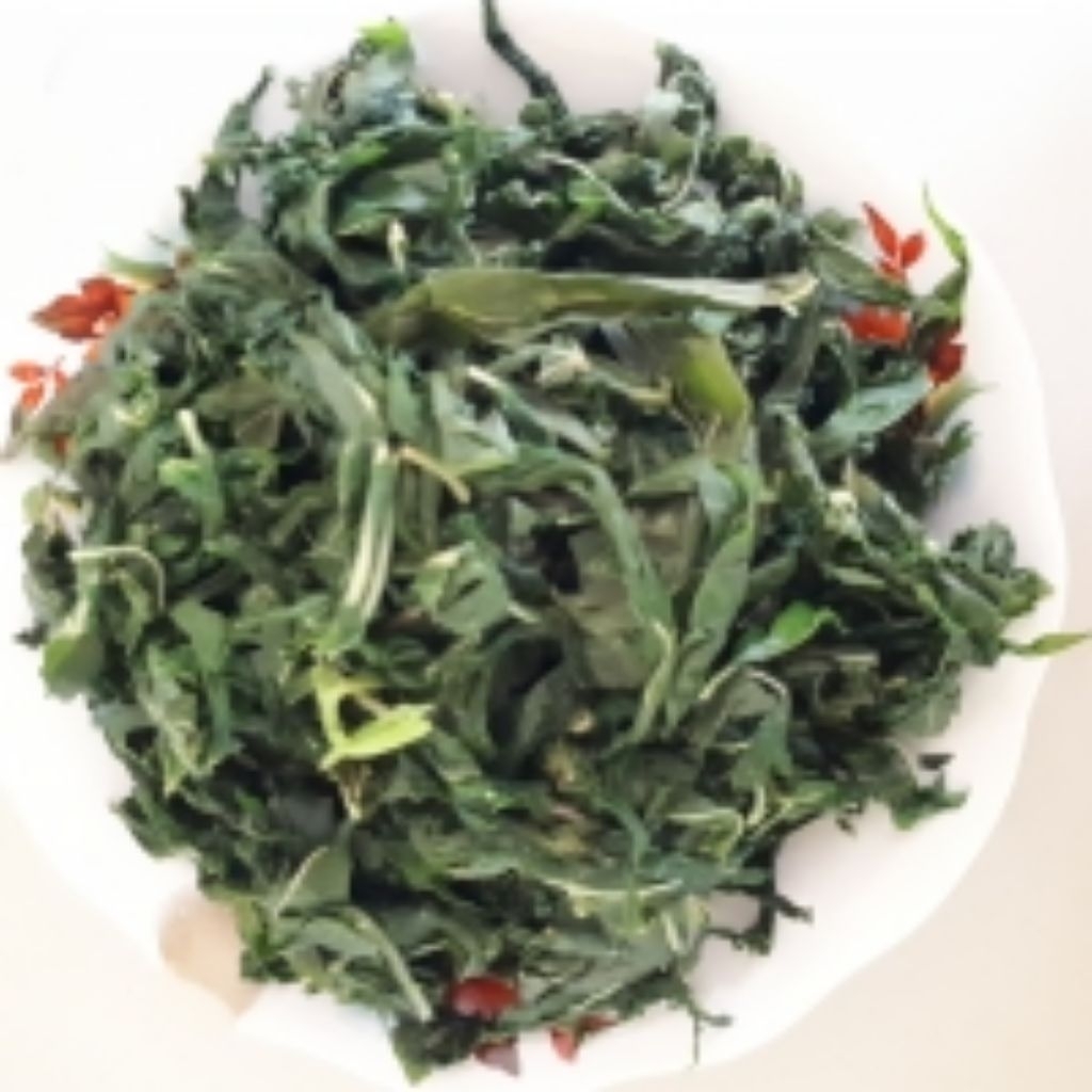 

DAUN SINGKONG KERING