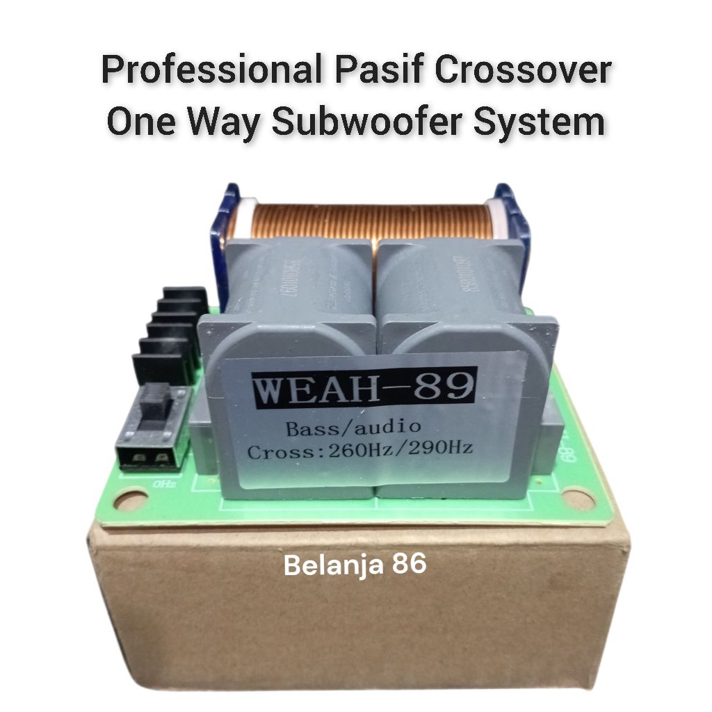 Professional Audio Pasif Crossover, One Way Bass System Subwoofer (15 - 18 Inch 1500 Watt )