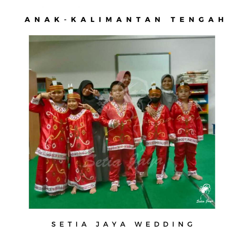 Baju Anak Kalimantan Utara SD / Kostum Karnaval/ Tarian