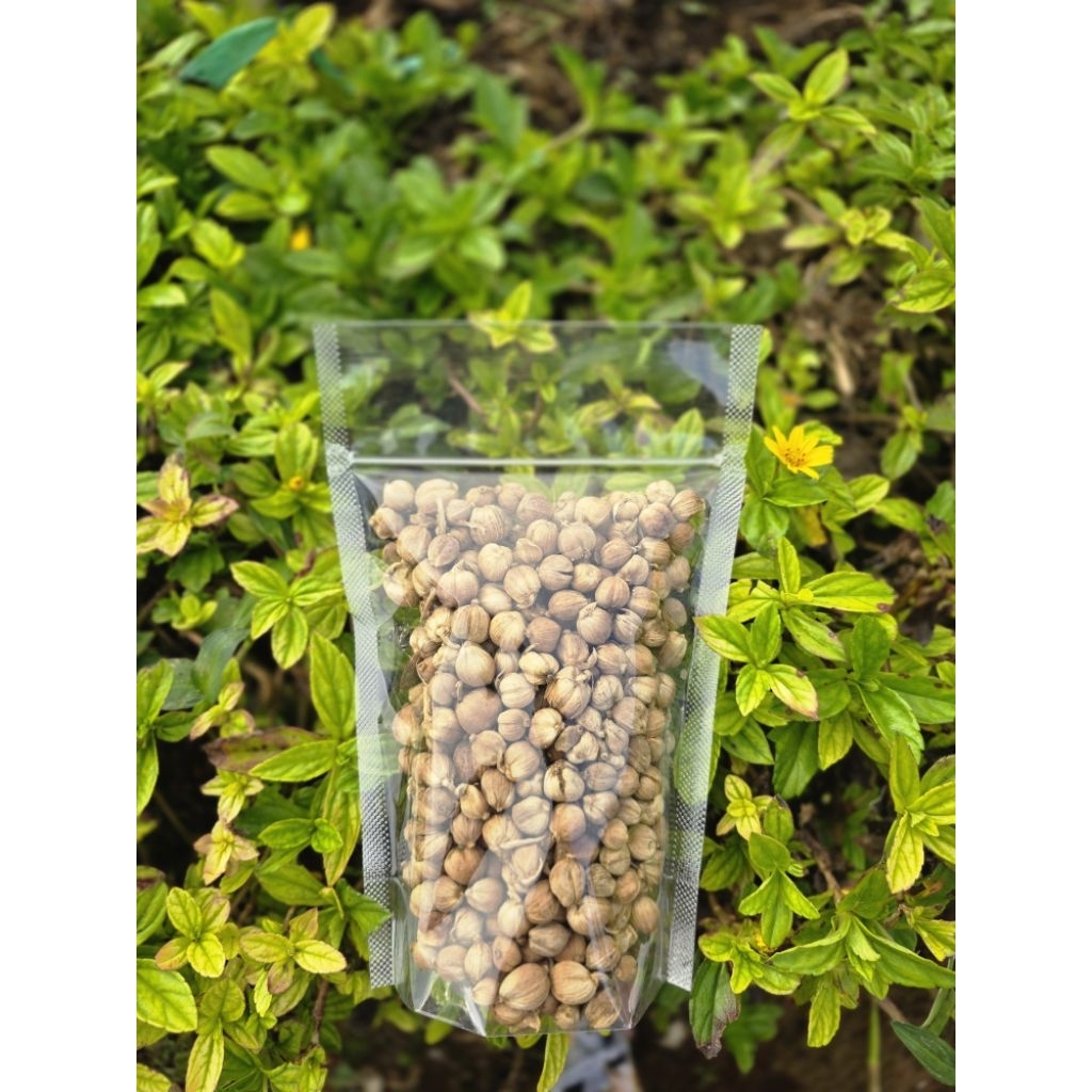 

Kapolaga kering 100gr best quality