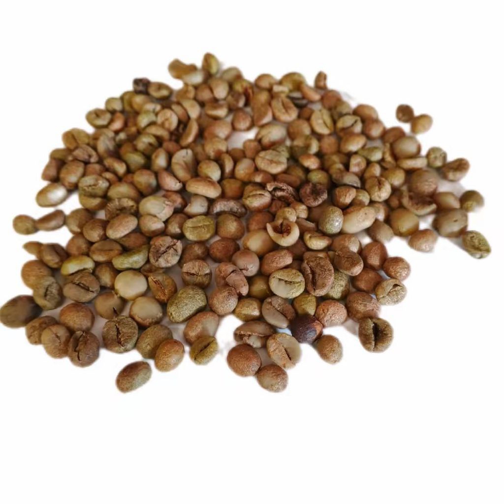 

Biji Kopi Mentah Robusta 1Kg Asal Kopi Dari Lampung