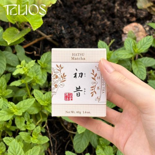 

[READY] IPPODO Matcha Ikuyo, Hatsumukashi, Kan, Wakaki