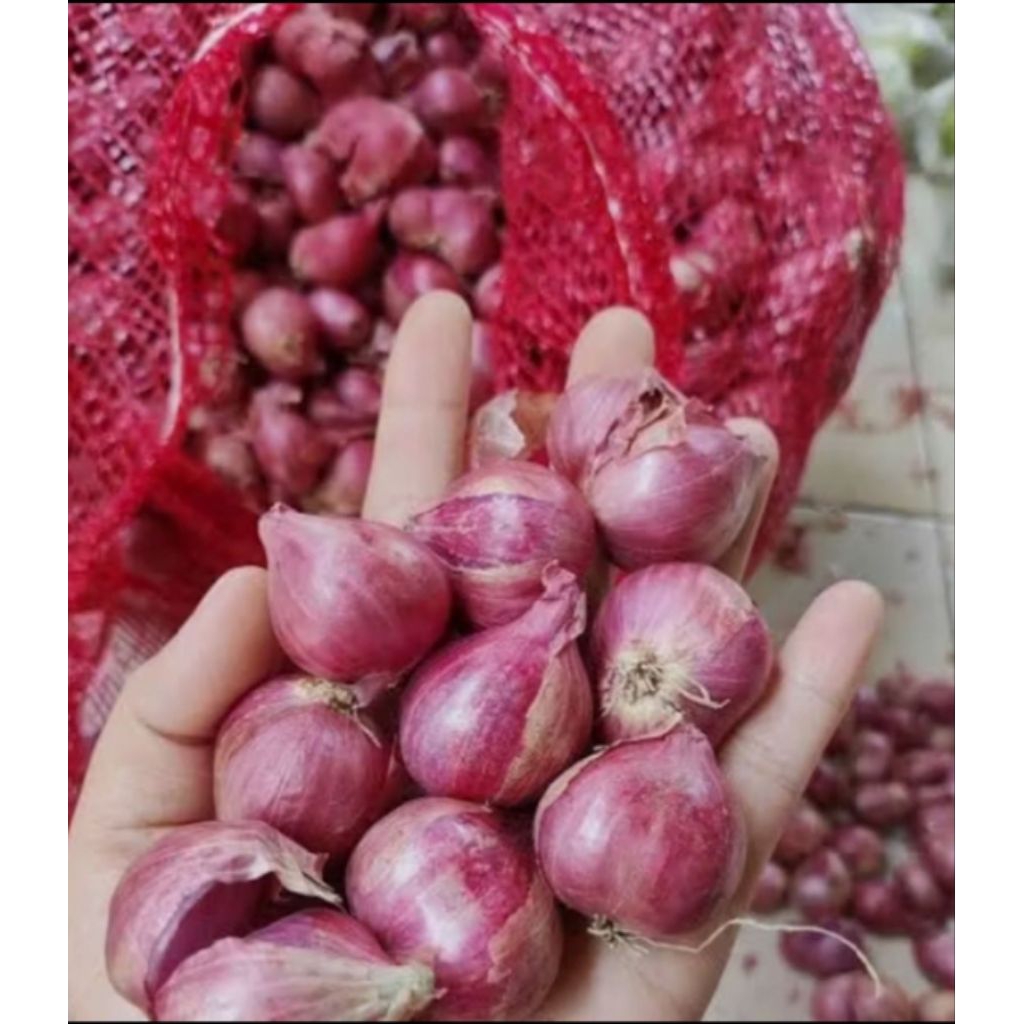 

Bawang merah segar 1 kg