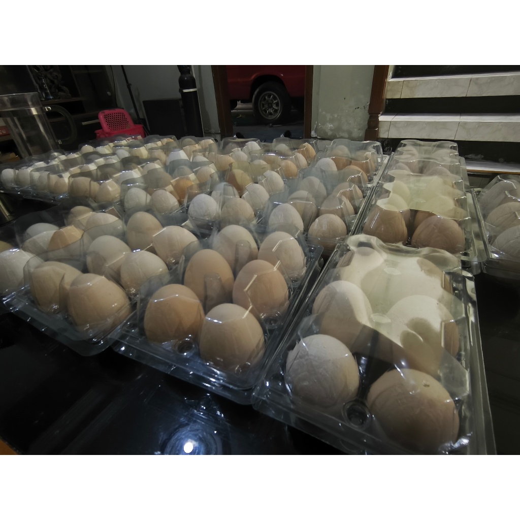 

Telur Kampung Omega 3, 6 dan 9