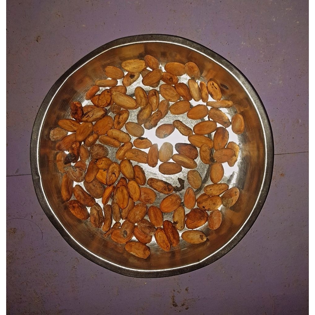 

Kopi Coklat (cacao) 1kg