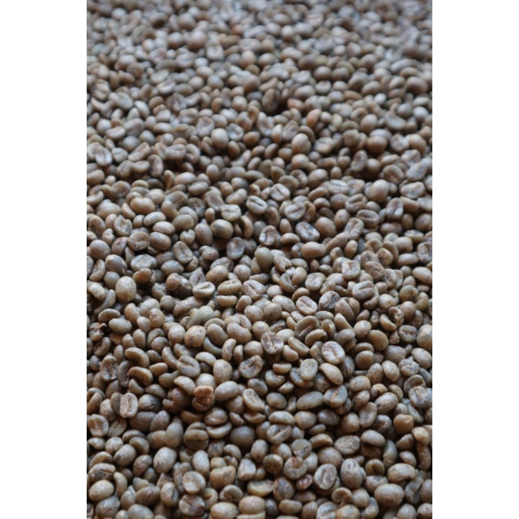 

Green bean premium Arabika Yellow Caturra 1 kg