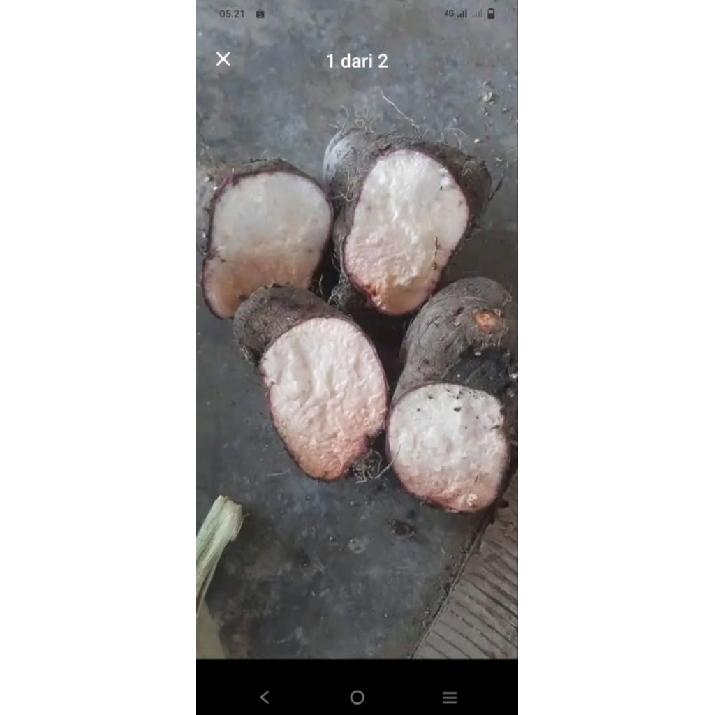 

ubi uwi putih berkualitas 1kg