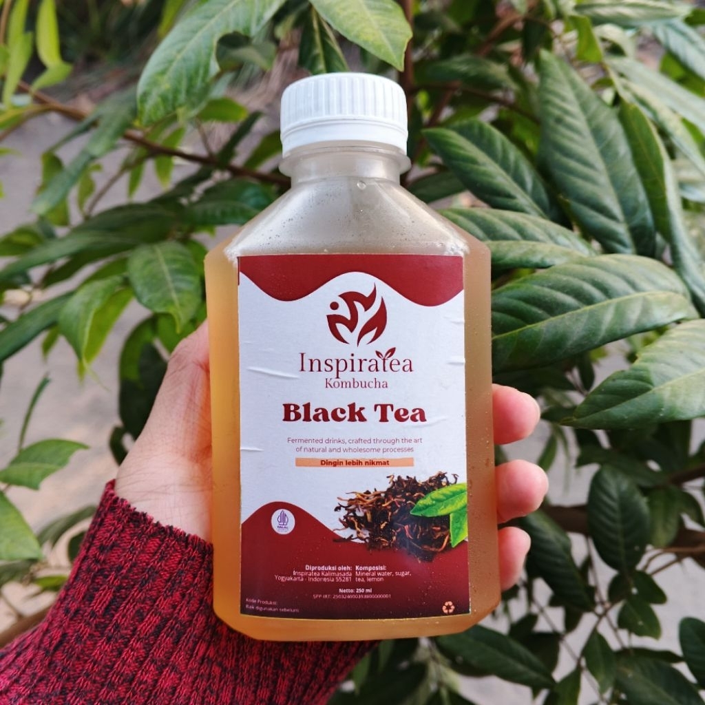 

Kombucha Blacktea 250 ml | Minuman Probiotik | Minuman Kesehatan | Teh Fermentasi by Inspiratea