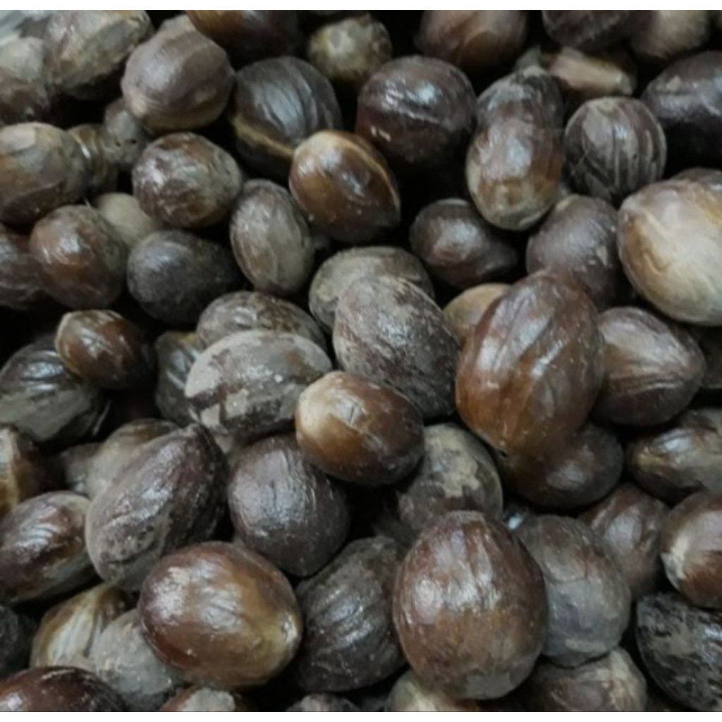 

BUAH PALA KULIT TUA PILIHAN