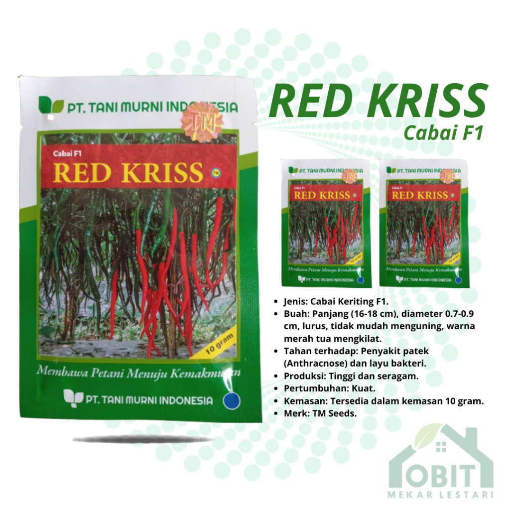 Red Kriss F1 Isi 10 Gram Benih Cabe Keriting Tani Murni Indonesia Cmk Tavi / Cabe Keriting Red Kriss