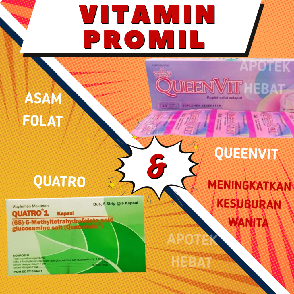 PAKET PROMIL QUEENVIT Asam Folat Program Hamil Perempuan Wanita Istri Vitamin Promil Vitamin Bumil P