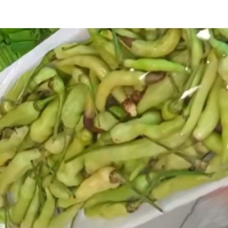 

Cabe hijau acar segar murah