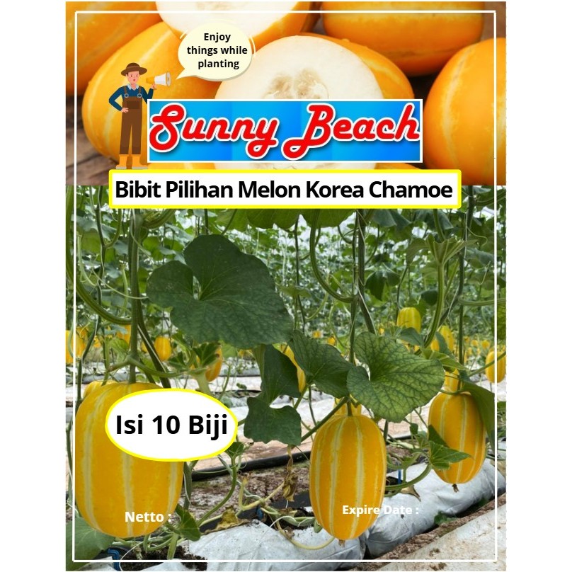 Bibit Pilihan Melon Korea Chamoe | Biji Benih Melon Korea Chamoe | Melon korean