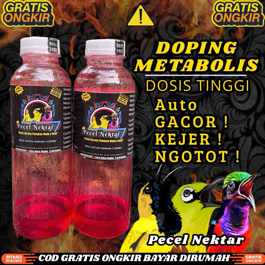 Pecel Nektar Doping Gacor Instan Metabolis untuk Sogon Konin Pleci Kolibri Kinoi Burung Pemakan Buah