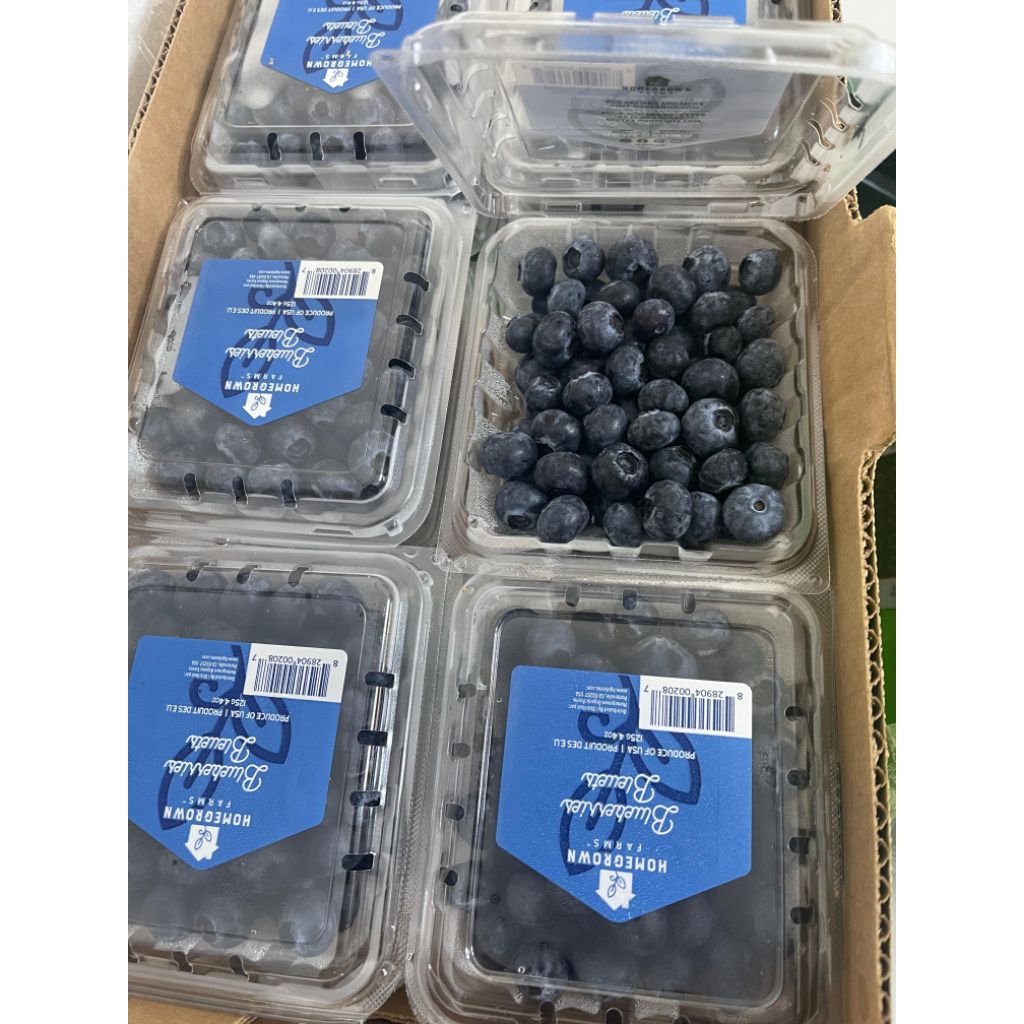 

Blueberry USA Fresh Pack