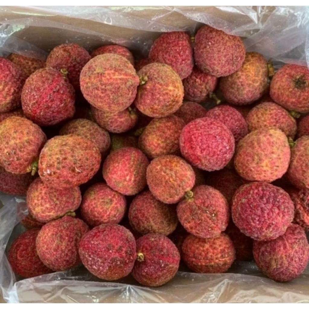 

PROMO!leci 5kg/skrat