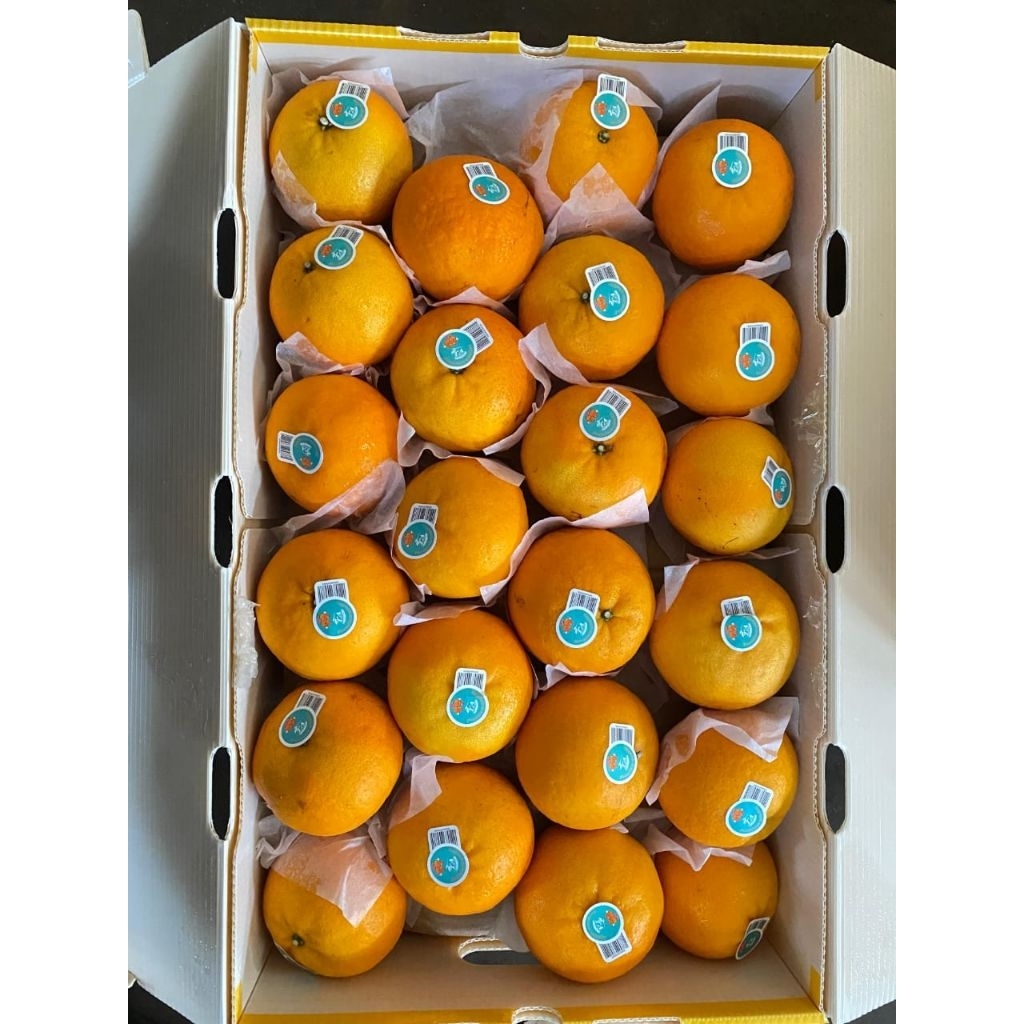 

Jeruk Wokam jeruk Wogam wonkam mandarin manis segar banyak air 1 dus/keranjang 9 kg