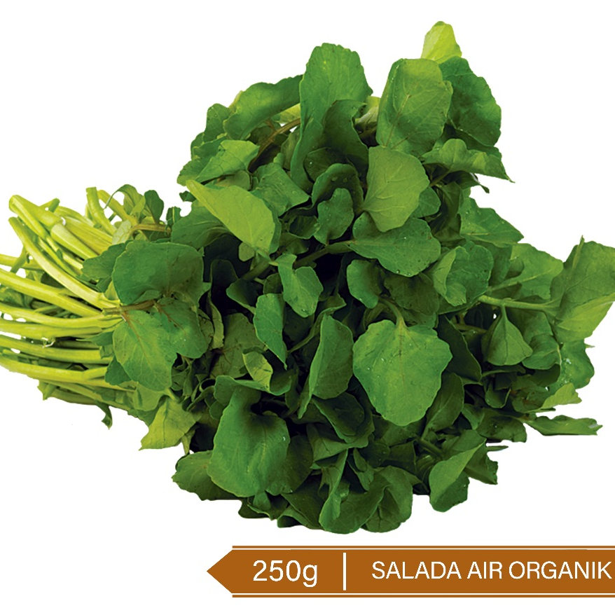 

Selada Air Organik 250g / Organic Watercress 250g
