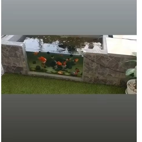 kolam kaca ikan koi