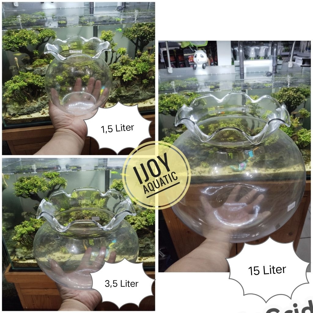 Akuarium TOPLES KACA BULAT aquarium 1,5Liter 3,5Liter 9Liter
