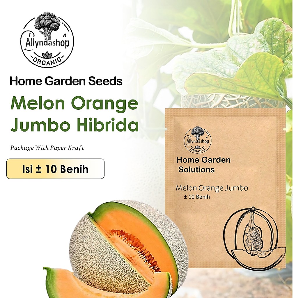 10 Biji - Bibit Buah Melon Orange Jumbo F1 Hibrida