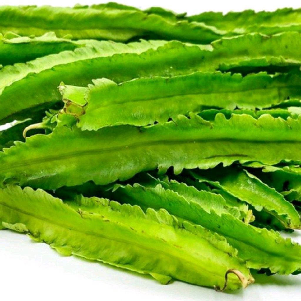 

sayuran kecipir segar sayuran hijau 500 gram