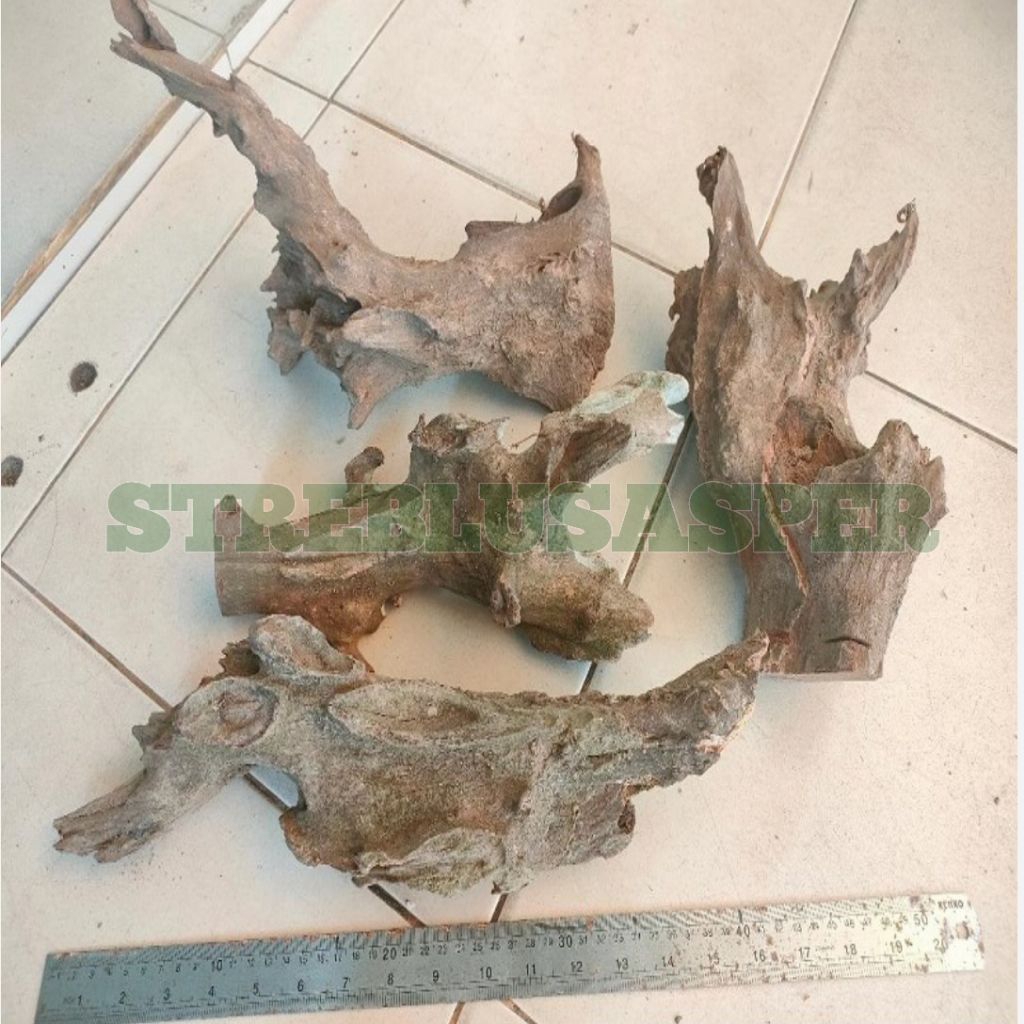 Kayu Rentek Ukuran Small _kayu Rentek Keras Detail Aquarium Aquascape