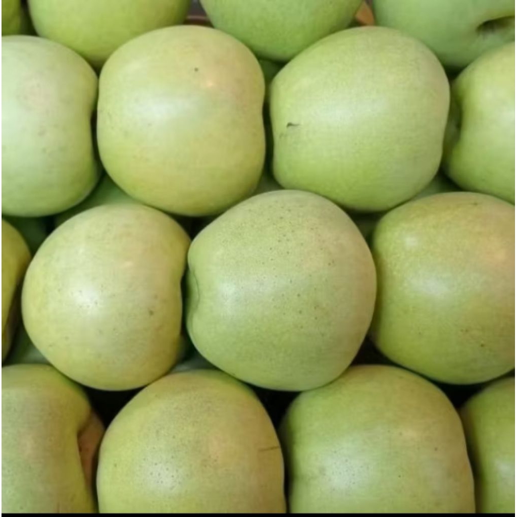 

Buah Apel Hijau/Apel Malang 1kg