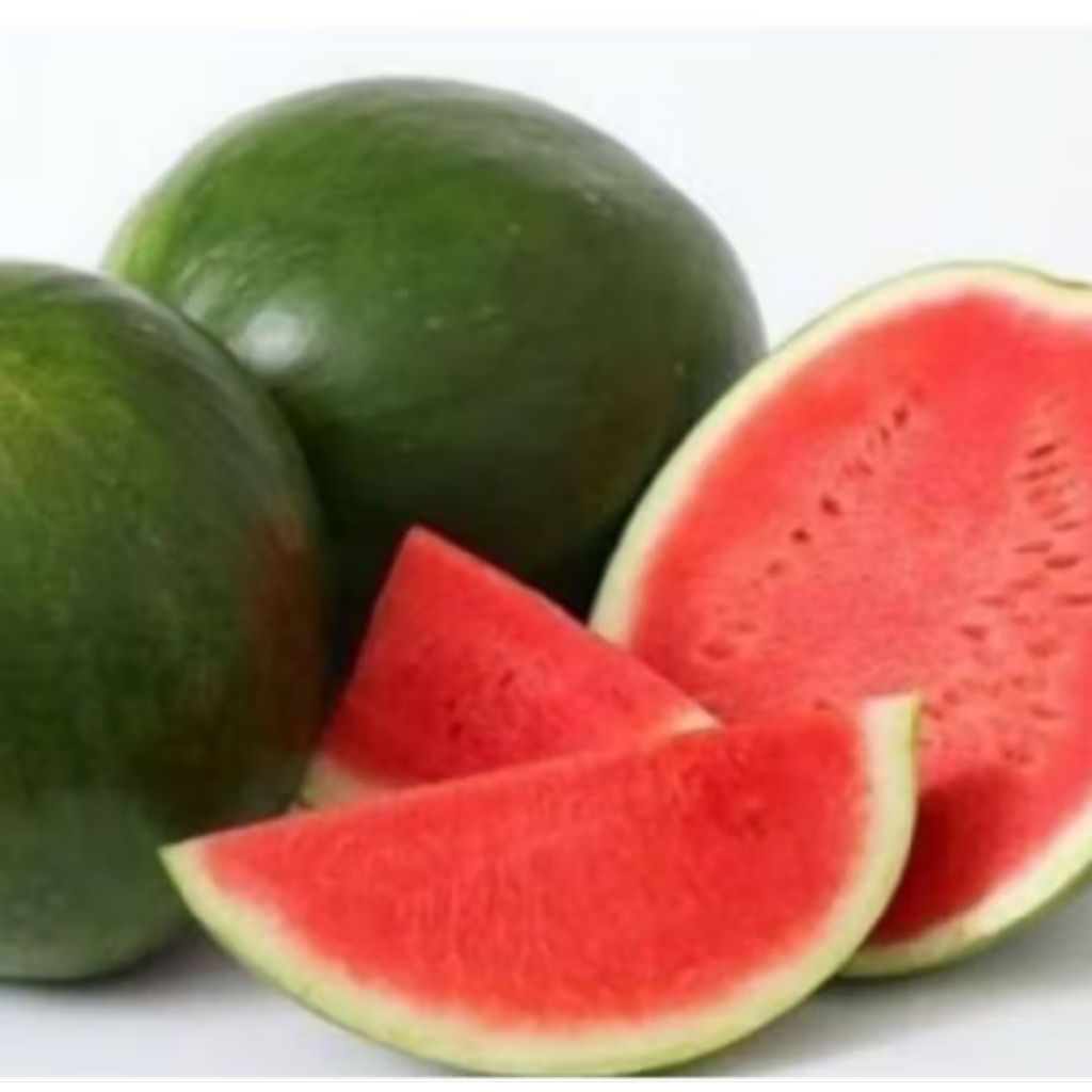 

Semangka Merah Non Biji 1 Bulatan 4kg