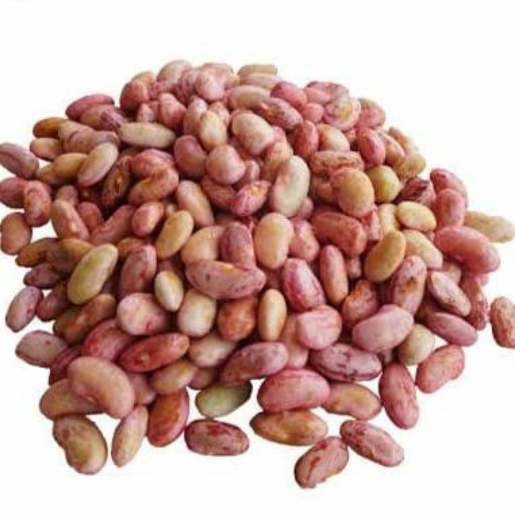 

KACANG ENDUL MERAH SEGAR BANDUNG