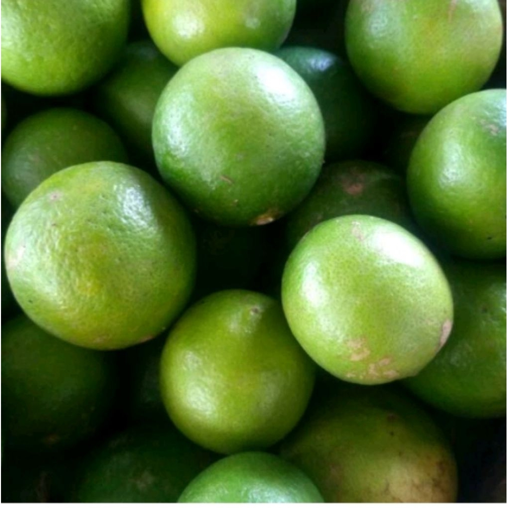 

jeruk nipis asli lokal 1 pcs/1biji