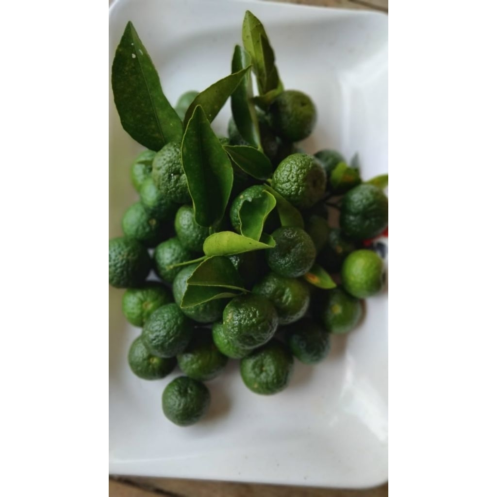 

Jeruk purut atau jeruk bumbu segar Petik Langsung 250 gram