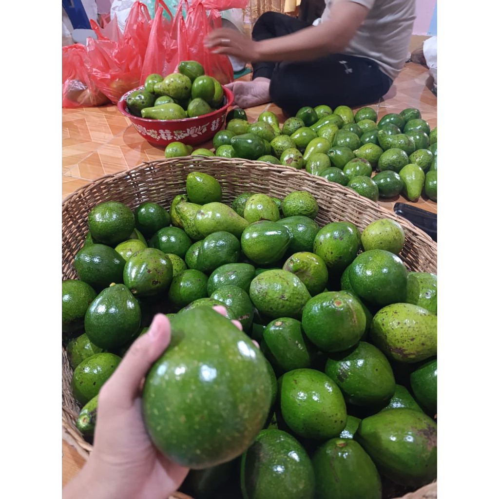 

pokat asli ranau mentega