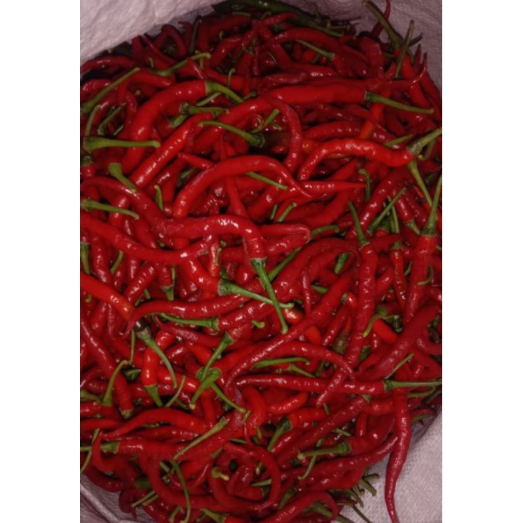 

CABAI MERAH KERITING BERAT 1KG