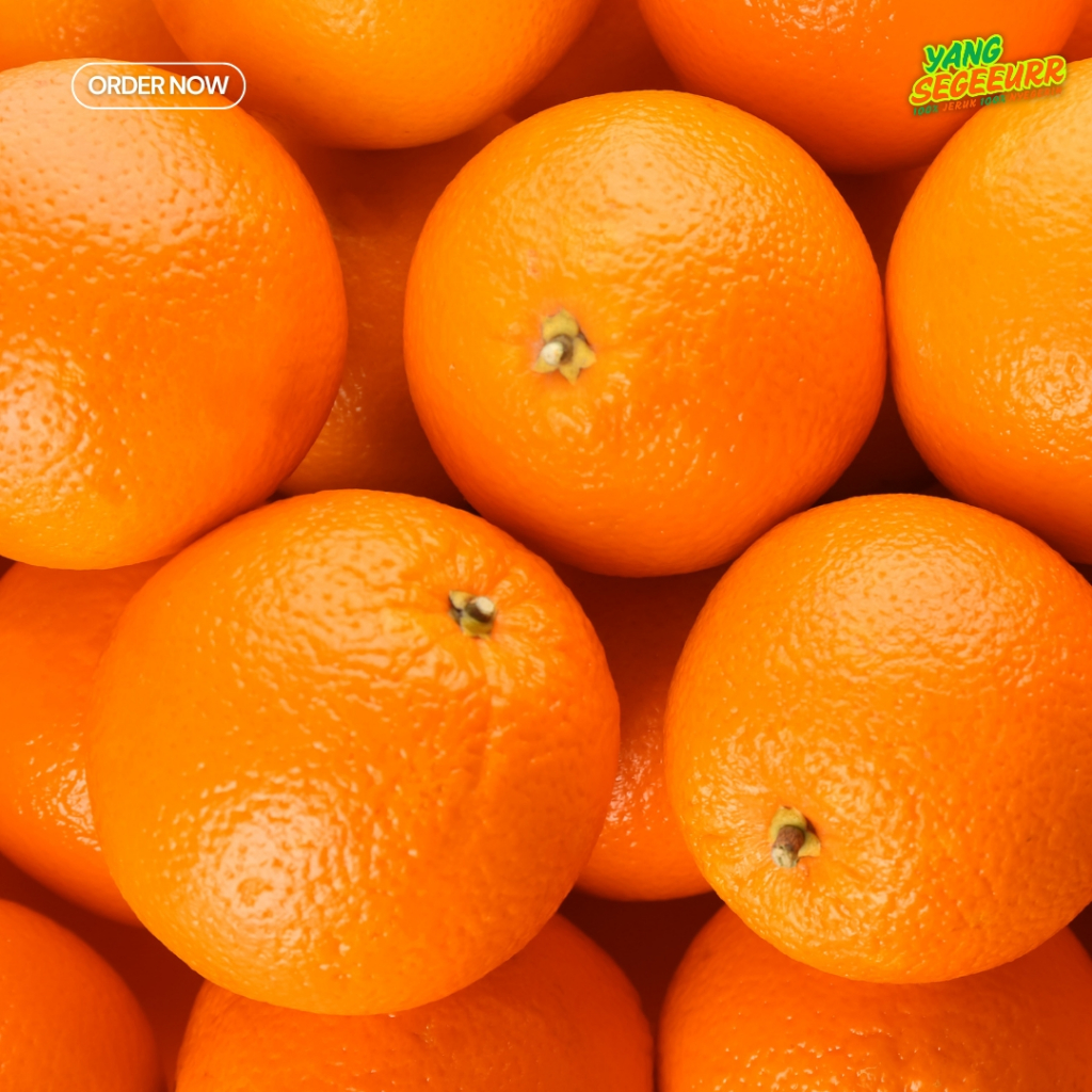 

Jeruk Sunkist Navel Segar Import 5kg Termurah Di Jaksel