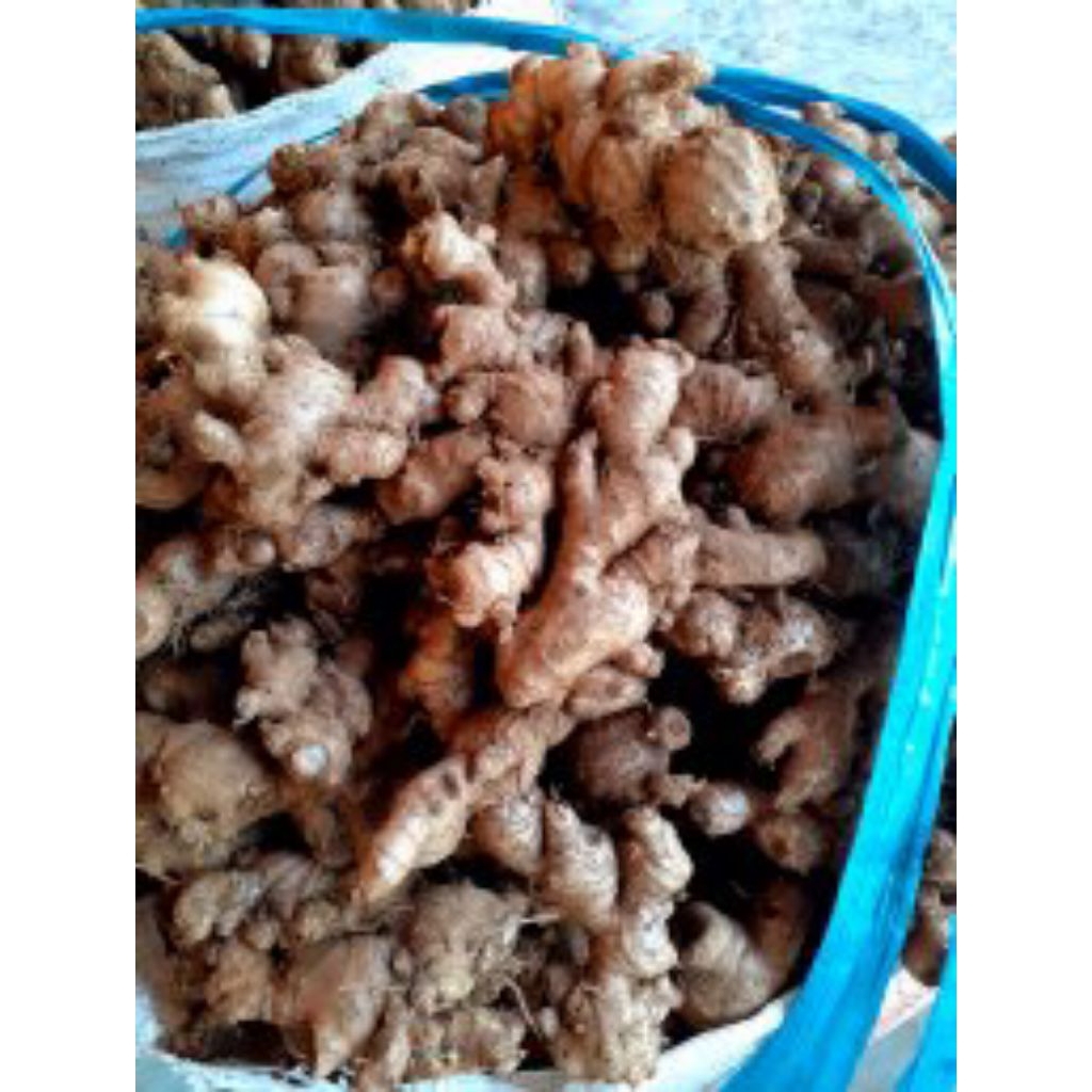 

JAHE PUTIH 500G/1000G