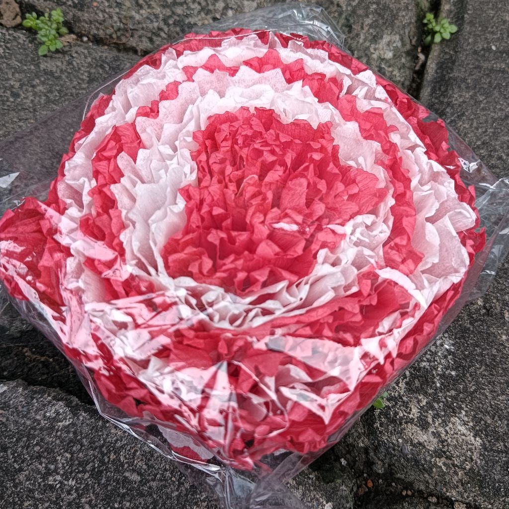 

Kertas Crepe Motif Kerut Hiasan Ultah Merah Putih Merdeka Warna Mix Crap Crep Craf Krep