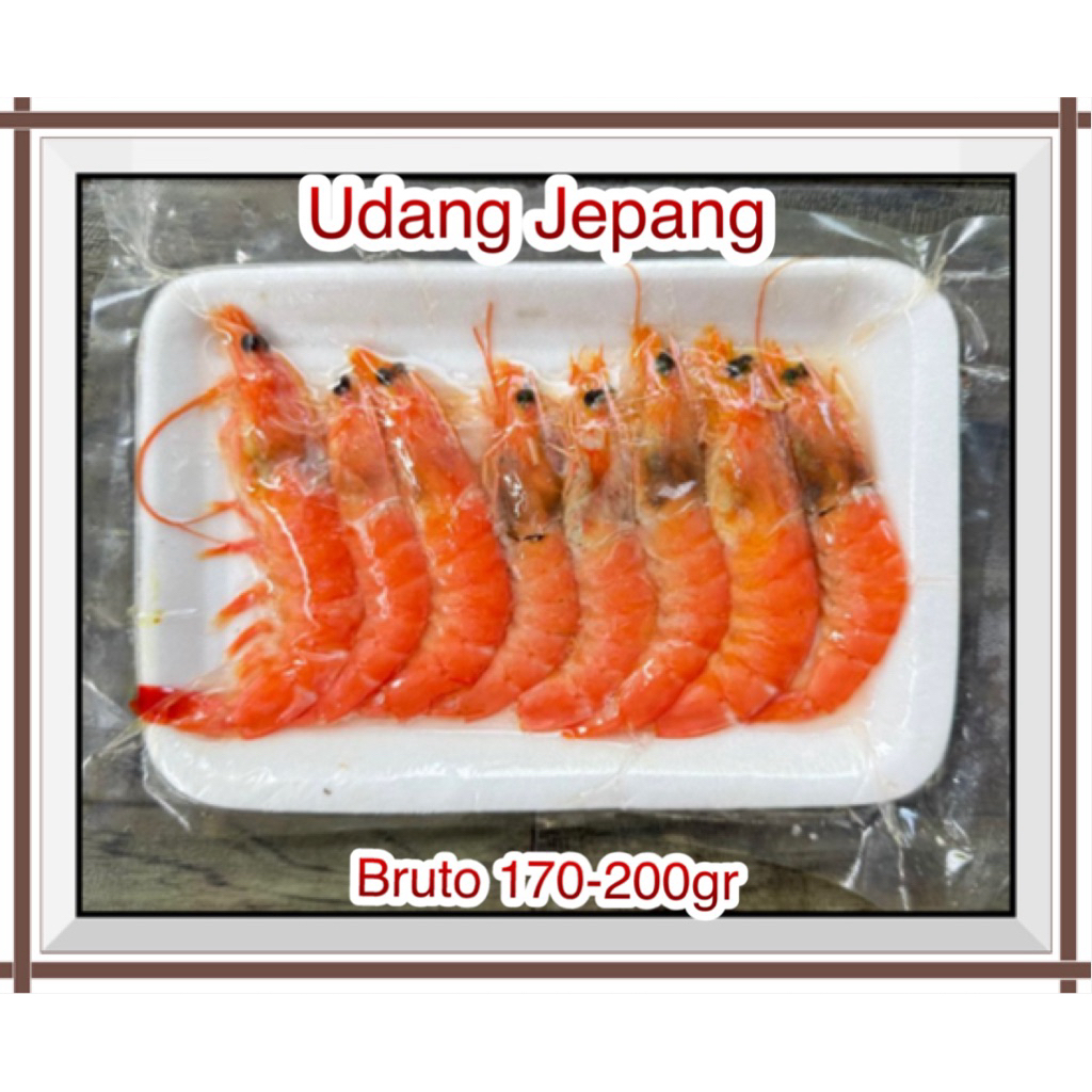 

Udang Jepang Bruto +- 170-200 gr