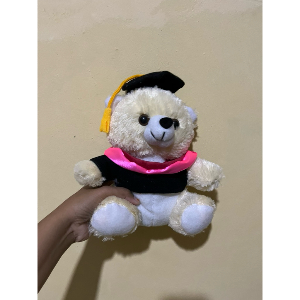 boneka wisuda pelepasan/ boneka wisuda pelantikan/boneka wisuda kelulusan /boneka wisuda profesi