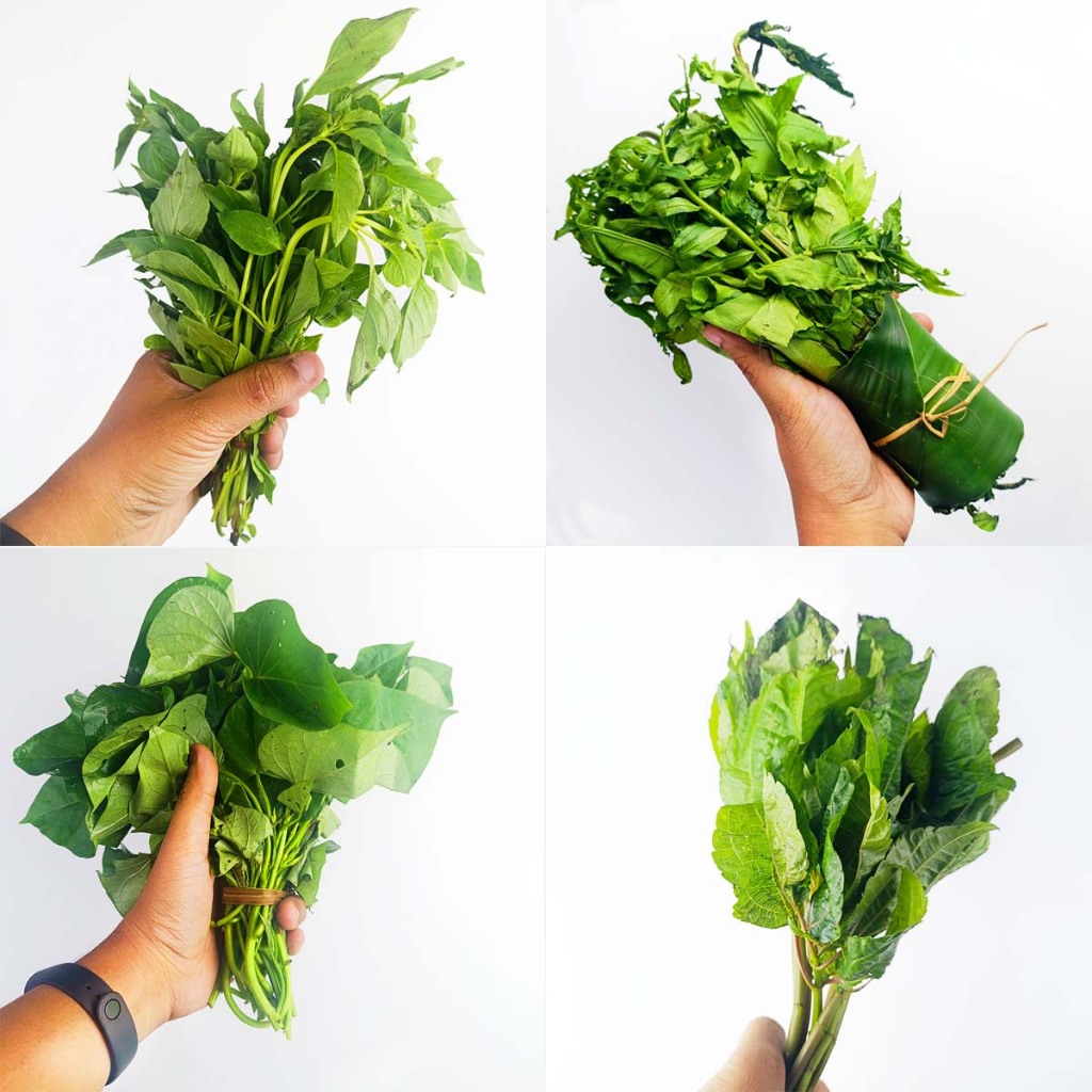 

Aneka Daun Segar Daun kemangi, Pohpohan, Daun Pakis, Daun Ubi Jlaar