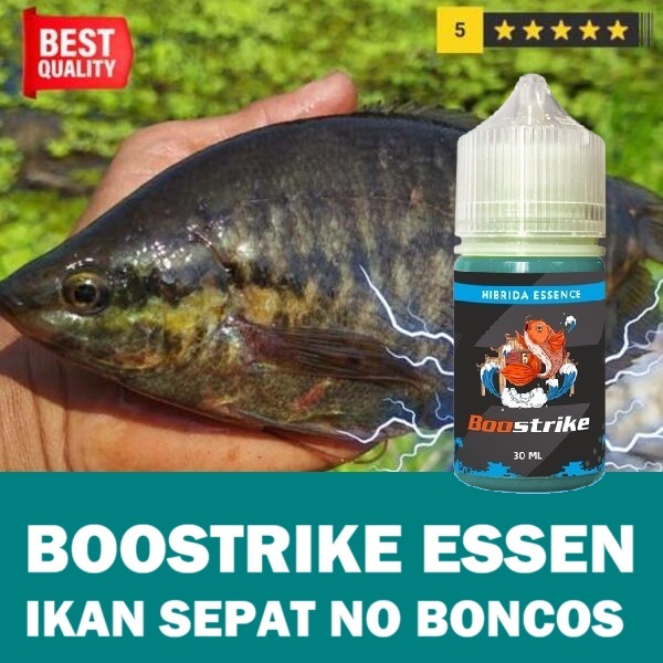 BOOSTRIKE ESSEN IKAN SEPAT JOS GANDOS NO BONCOS ISI 30ML